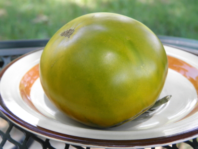 Grub's Mystery Green*